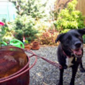 Meet your Posher, Jonathan